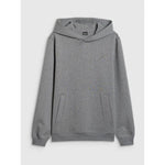 Men's regular hooded sweatshirt 4F