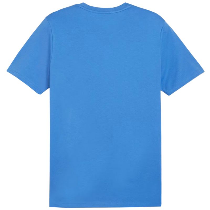 Puma Team Goal Casuals Tee M 658615 02 Póló