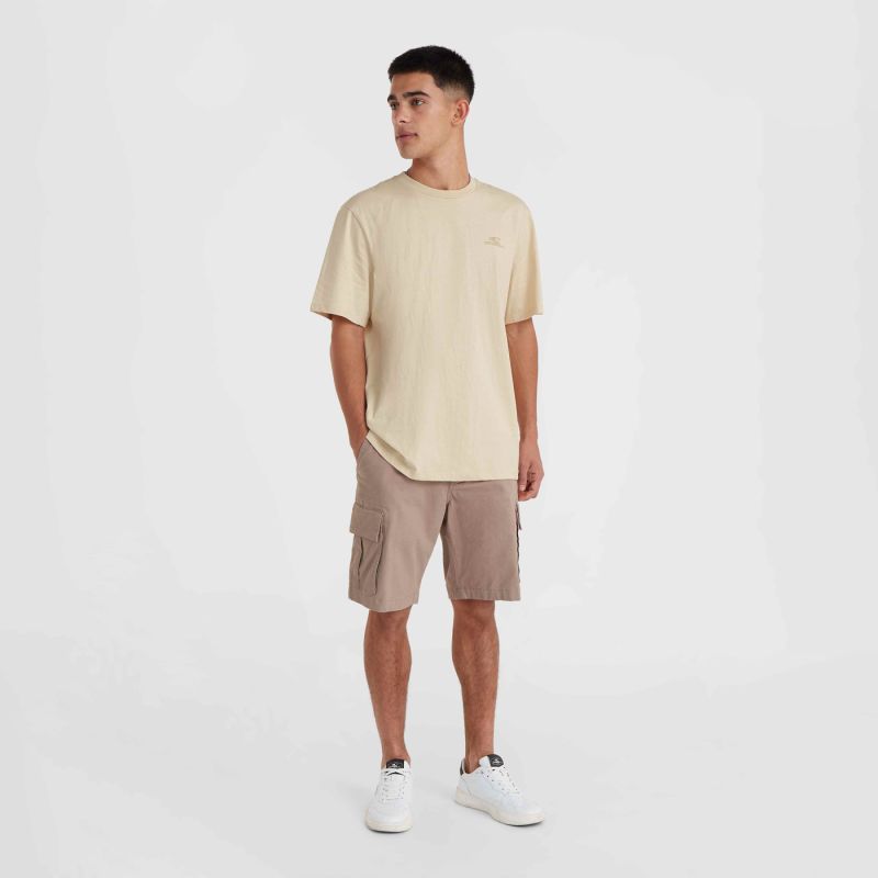 O'Neill Small Logo T-Shirt bézs póló