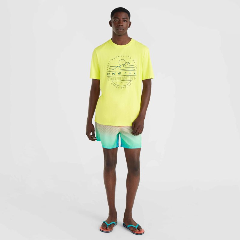 O'Neill Jack Cali Gradient 15'' Swim színes shorts, swimming shorts